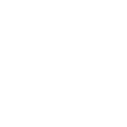 mvd informatica
